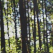 SW_Clownbaum_2001_120x80