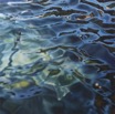 SW_Wasser1_2000_100x100