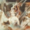 SW_Kroenung_04.jpg