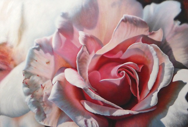 SW_Rose-Windmuehlen_1999_77x112